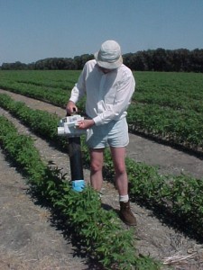 Suction sampler in action