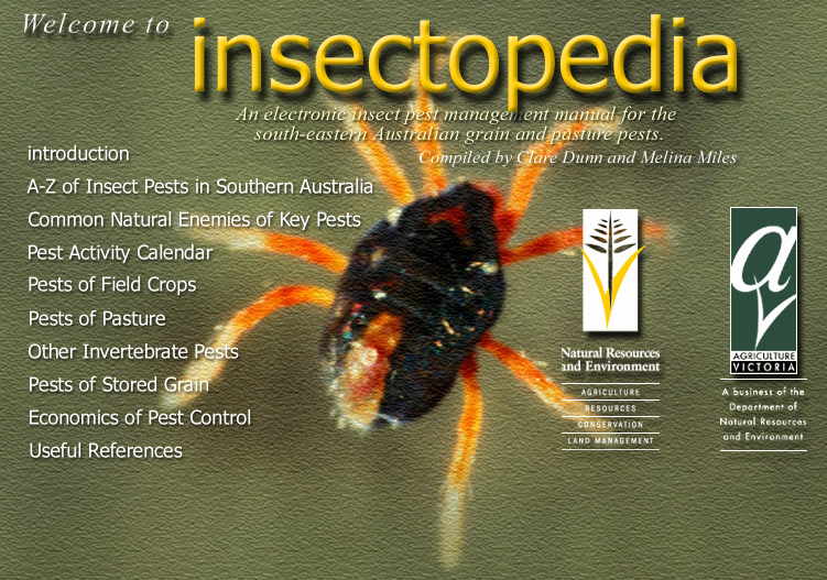 insectopedia home screenshot